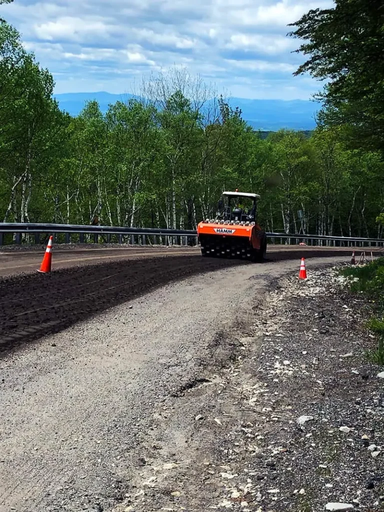 Brandon-Goshen VT Reclaim June 2019