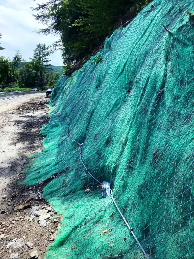 Cavendish VT SNA Mesh August 2020