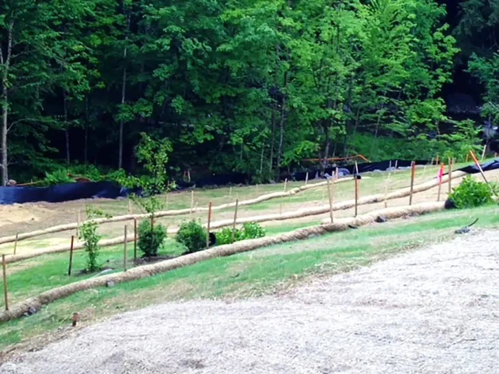 Vermont Arborist Landscaping June 2020