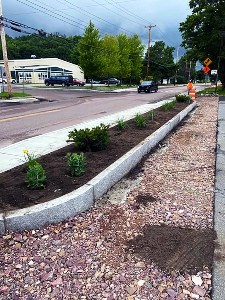 Vermont Arborist Streetscape July 2020
